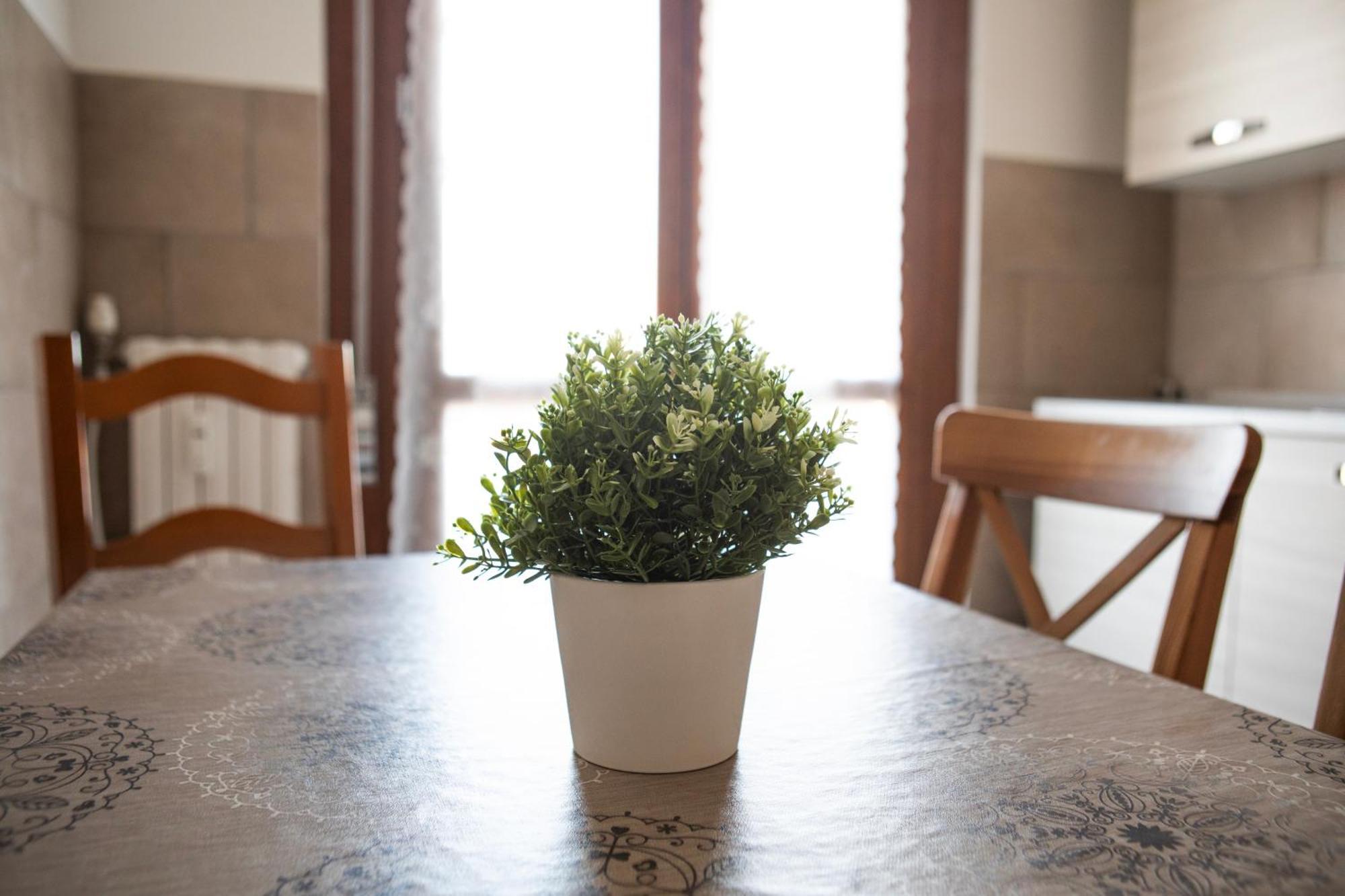 Apartamento Talenti Boutique *